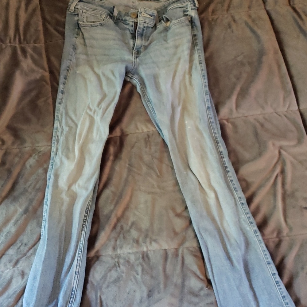 Hollister Jean's